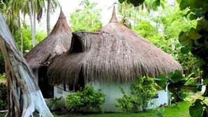 A thatched-roof house with a white exterior, surrounded by lush greenery and a large tree trunk. - HOTEL ISLA MULATA (Rosario Islands)