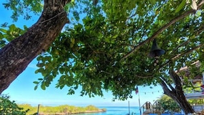 A wooden deck with lounge chairs and a pool, overlooking a clear blue sea. - HOTEL ISLA MULATA (Rosario Islands)