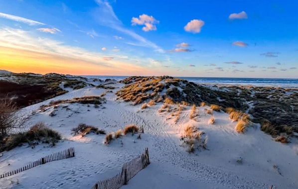 Strand