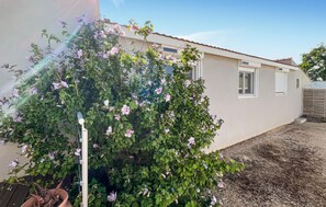 A residential building with a garden, a gravel driveway, and a metal fence. - Maison proche Alpilles (Arles)
