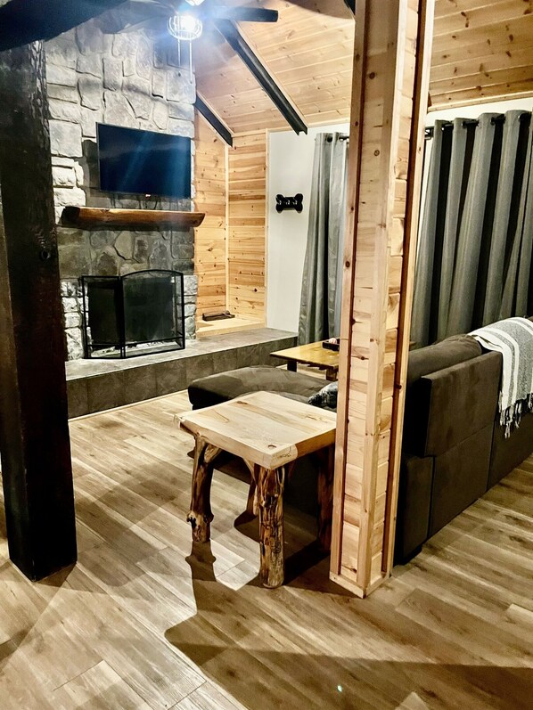 Smart TV, fireplace, books