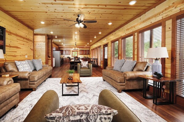 TV, fireplace, video games