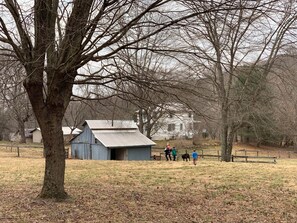 Uklassifisert bilde, 3 av 49, knapp