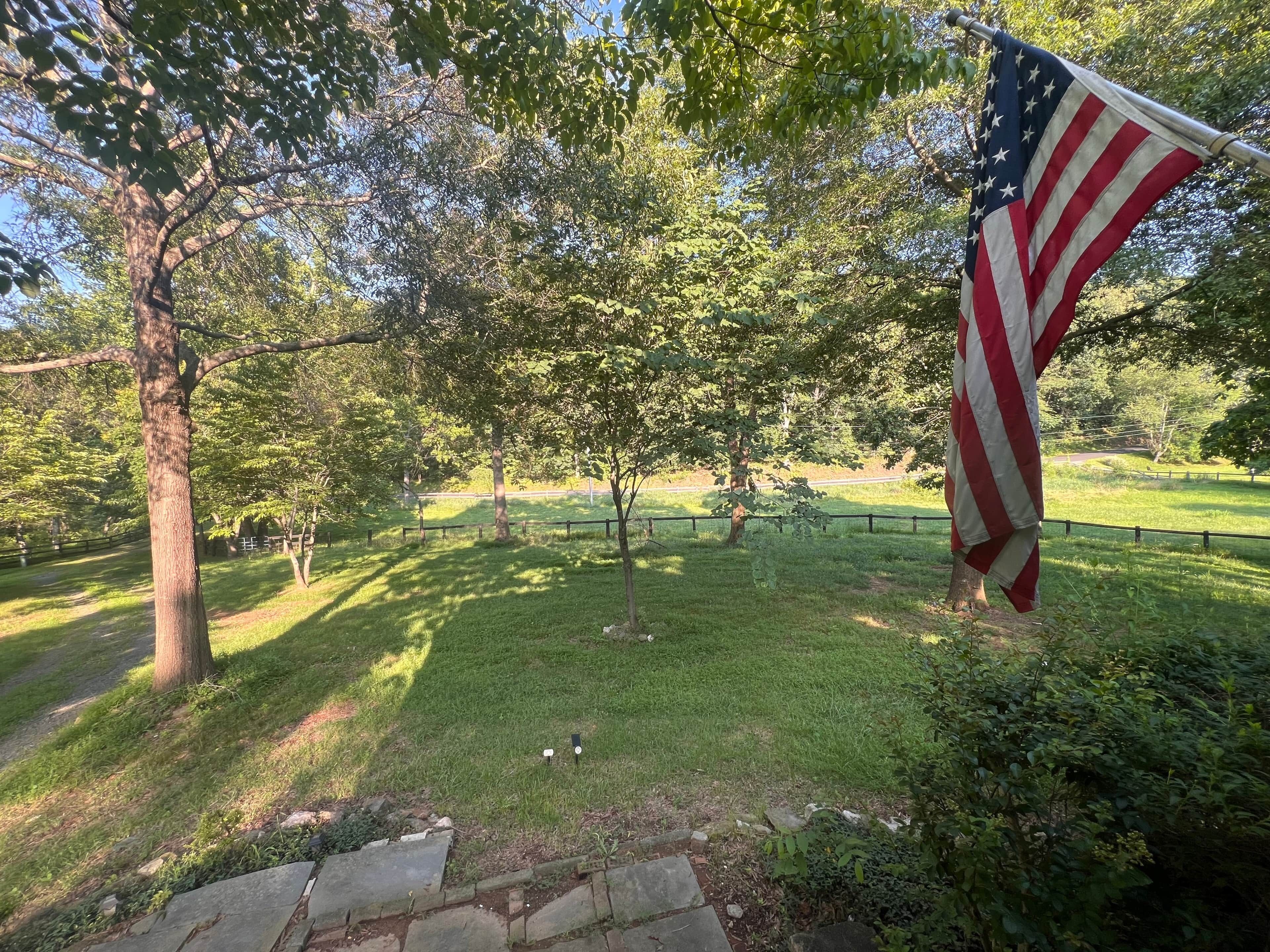 En græsplæne med træer og et amerikansk flag.