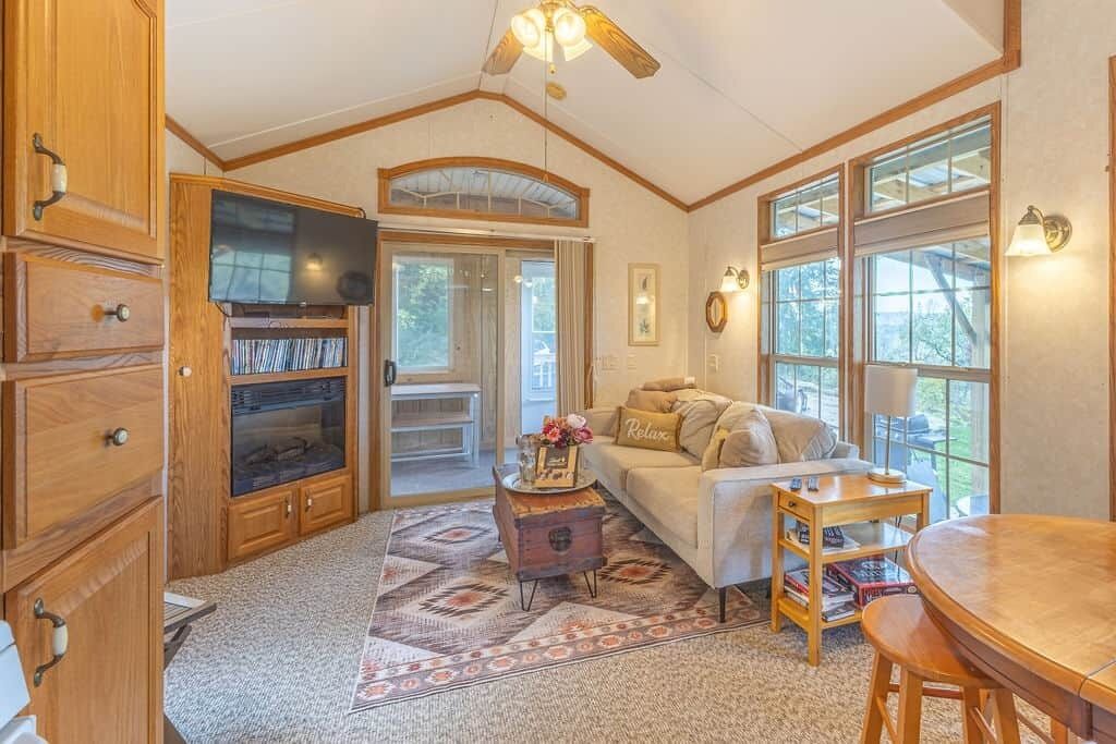 Smart TV, fireplace, DVD player, video library