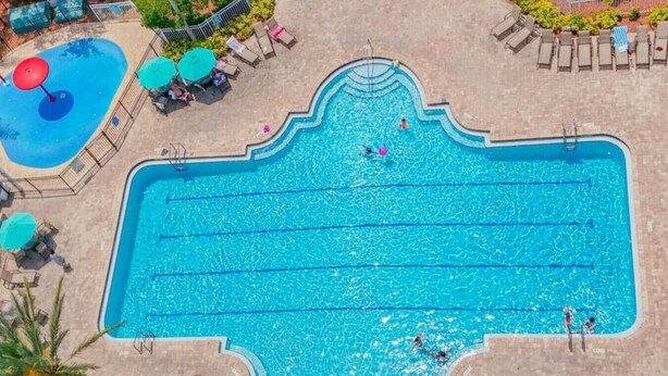 Une grande piscine rectangulaire avec plusieurs couloirs de nage, entourée de chaises longues et de parasols.