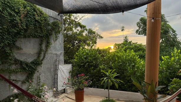 A hammock on a rooftop terrace with potted plants and a view of the sunset. - Casa Icaco  (Puerto Escondido)