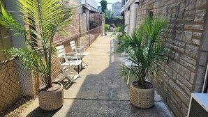 A narrow alleyway with two potted plants, a chain-link fence, and a row of white chairs.