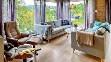 Smart-TV, Kamin