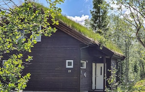 Ulkopuoli