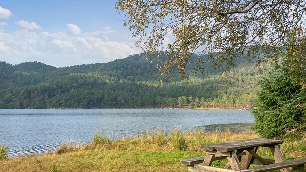 A lakeside picnic area with a wooden bench and a view of a forested mountain range.