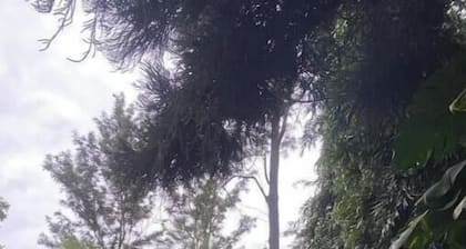 4Bedroom Family Home in Moshi