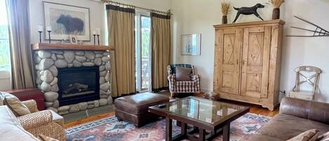 Smart TV, fireplace, video games, books