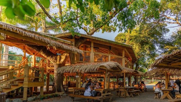 Un área de comedor al aire libre de estilo rústico con construcciones de madera y techos de paja, rodeada de árboles.