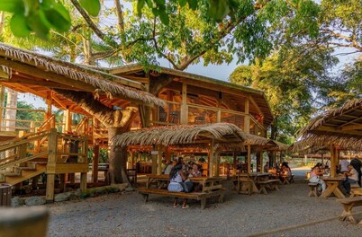 Wonderful 2-bedroom cottage with AC in charming Ceiba. Minutes from the Ferry.