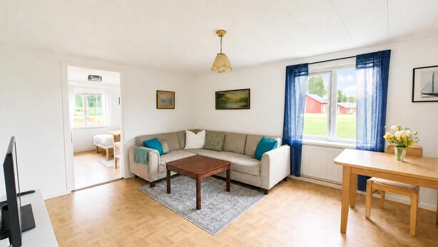 Un salon spacieux comprenant un canapé, une table basse et une table  à manger. Il y a deux fenêtres avec des rideaux, une porte et un luminaire au plafond.
