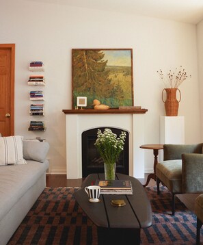 Smart TV, fireplace, books