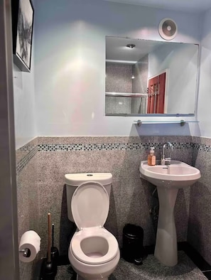 Hair dryer, towels, soap, toilet paper