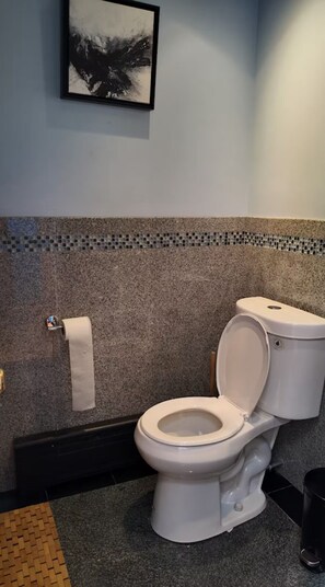 Sèche-cheveux, serviettes fournies, savon, papier toilette