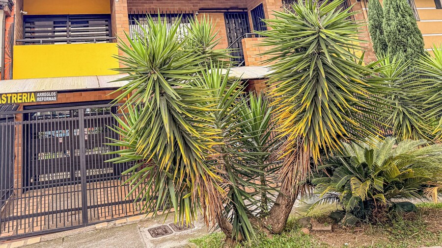 Urban Lofts Laureles 40