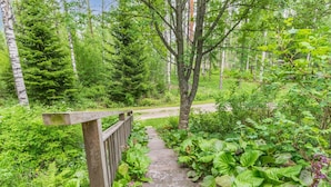 Un sendero de madera serpentea a través de un exuberante jardín con diversas plantas y árboles.