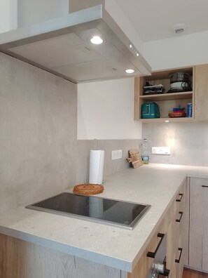 Fridge, microwave, oven, stovetop - Charming apartment between lakes and mountains (Seyssel)