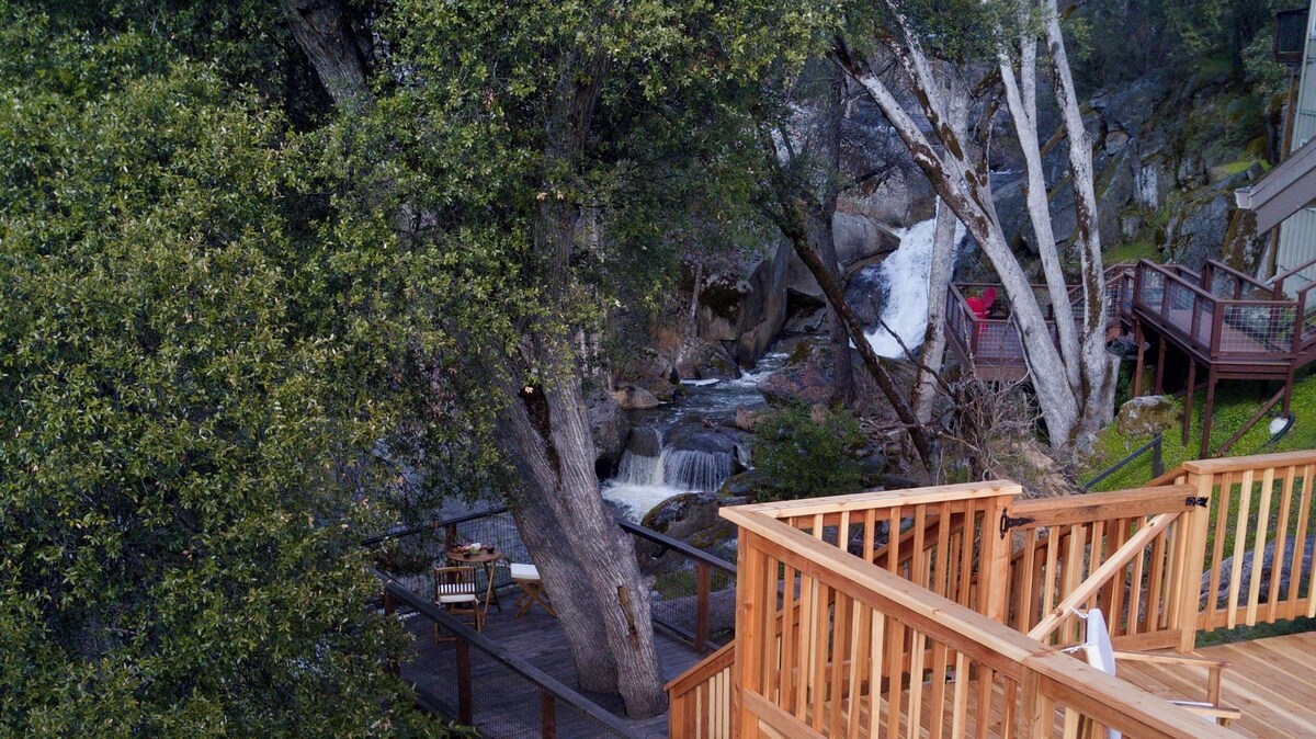 Imagen de perfil del propietario o de la propietaria