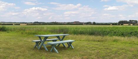 تناول الطعام بالخارج