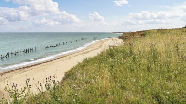 Un paisaje costero con una playa arenosa, zonas verdes y una cerca de madera a la orilla del agua.