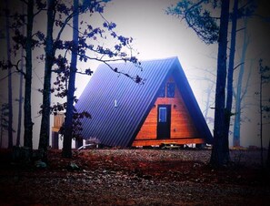 Exterior - Mountaintop cabin 10 minutes from Hot Springs, AR - perfect for a getaway (Bonnerdale)