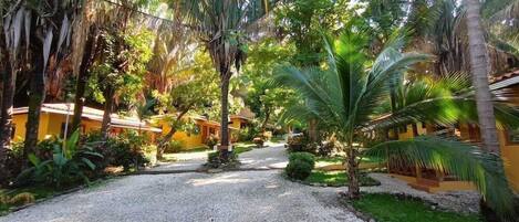 Terrain de lâhĂ©bergement