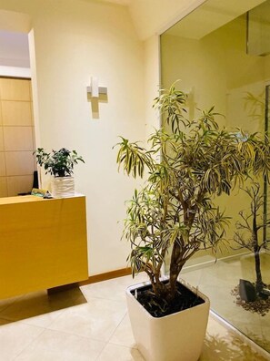 Zona de recepción con mostrador, planta en maceta y lámpara de pared.