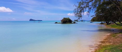 Une plage à l’eau turquoise et limpide, une petite île et une côte bordée d’arbres.