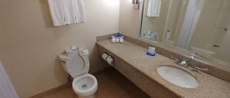 A bathroom with a toilet, sink, and mirror.