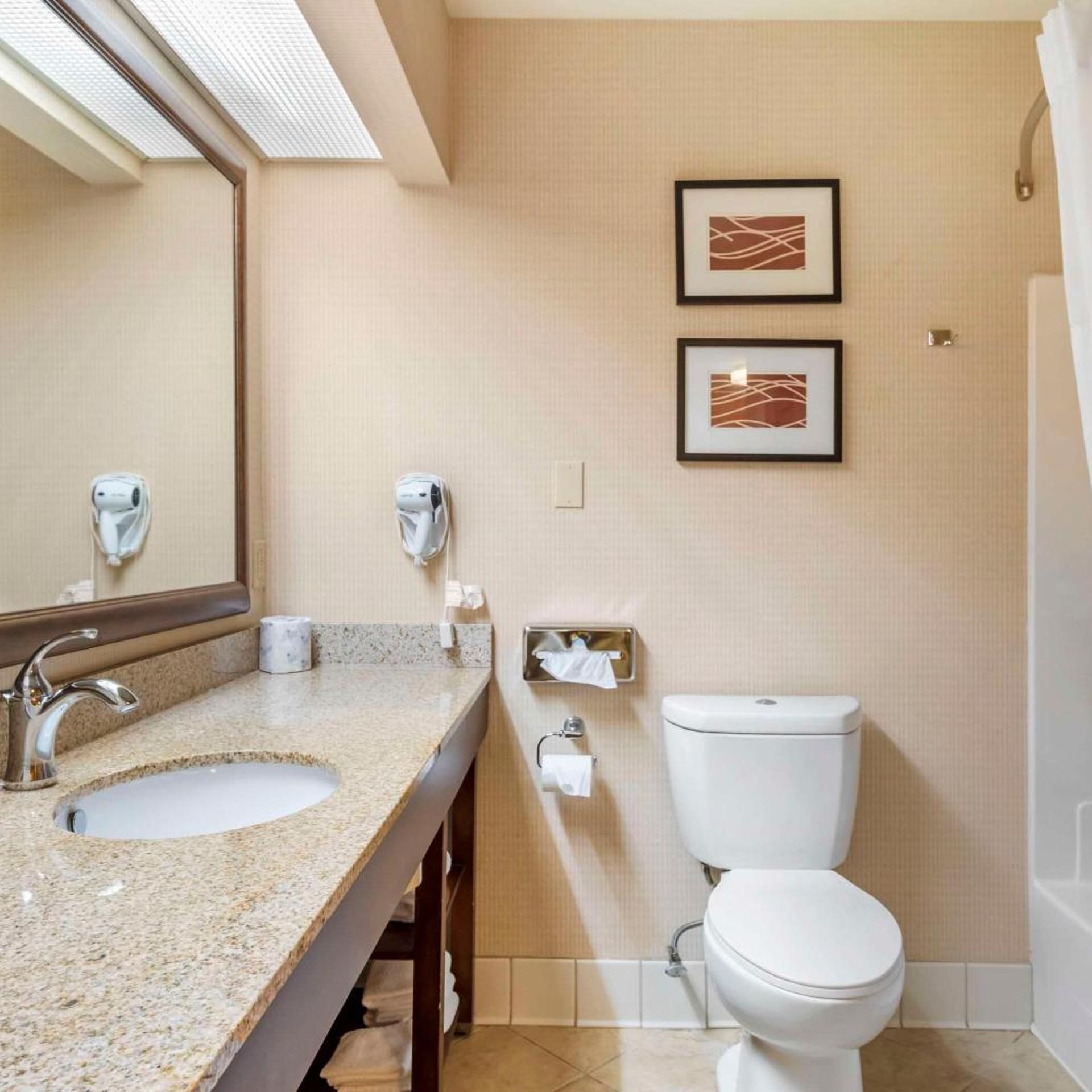 Een badkamer met een wastafel met granieten blad, een spiegel, een toilet en twee ingelijste kunstwerken aan de muur.