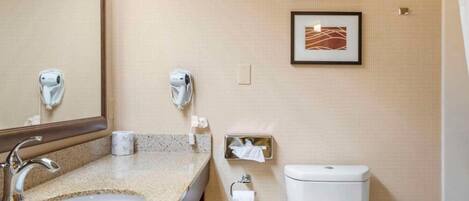 Een badkamer met een wastafel met granieten blad, een spiegel, een toilet en twee ingelijste kunstwerken aan de muur.