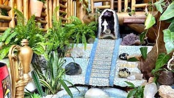 Jardines del alojamiento