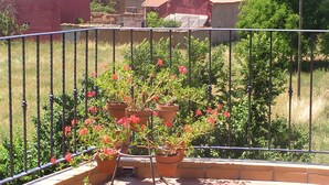 A balcony with potted plants and a view of a rural area with houses and trees. - Aqua Luna Spa (Cimanes del Tejar)
