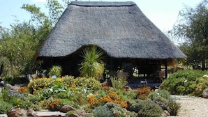 A thatched-roof structure surrounded by a garden with various plants and flowers. - Etango Ranch Guest Farm (Windhoek)