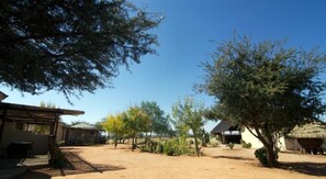 A courtyard with a thatched-roof structure, a covered seating area, and sparse vegetation. - Etango Ranch Guest Farm (Windhoek)