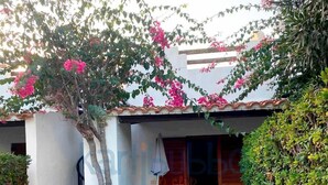 Un patio con techo de tejas, un banco de madera, una silla azul y una planta en maceta.