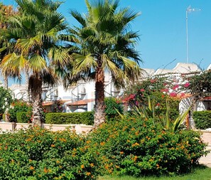 A garden with palm trees, orange flowers, and a white building with a red roof in the background. - Kartibubbo Beach Resort (Campobello di Mazara)