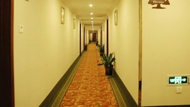 Un pasillo de hotel con piso alfombrado, cuadros en las paredes y un letrero que indica un ascensor.