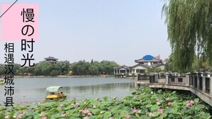 A serene lakeside view with lotus flowers in the foreground, a traditional building in the background, and a bridge over the water. - Greentree Inn Jiangsu Xuzhou Peixian Bus Station Tangmu Road Business Hotel (Xuzhou)