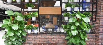 Greentree Rizhao Lanshan Coach Station Hotel