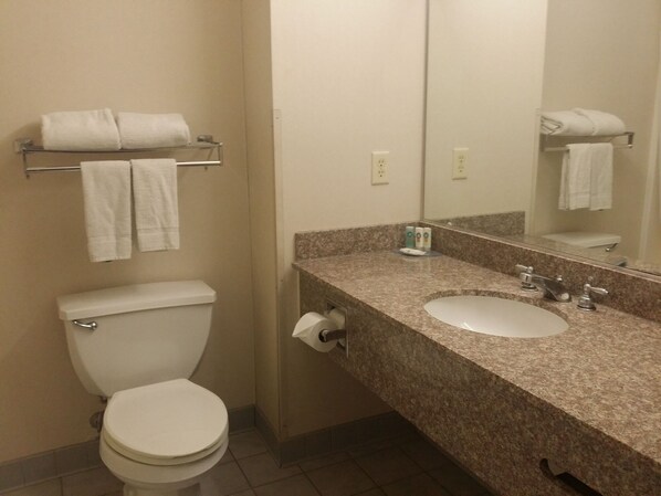 A bathroom with a toilet, sink, and mirror. There are towels hanging on a rack above the toilet and a towel rack next to the sink. - Quality Inn and Suites Schoharie Near Howe Caverns NY (Schoharie)