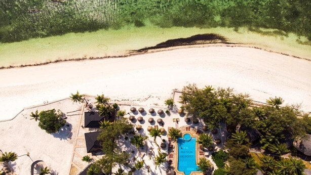 An aerial view of a beach resort with a swimming pool, palm trees, and a sandy beach. - Sansi Kae Beach Resort (Michamvi)