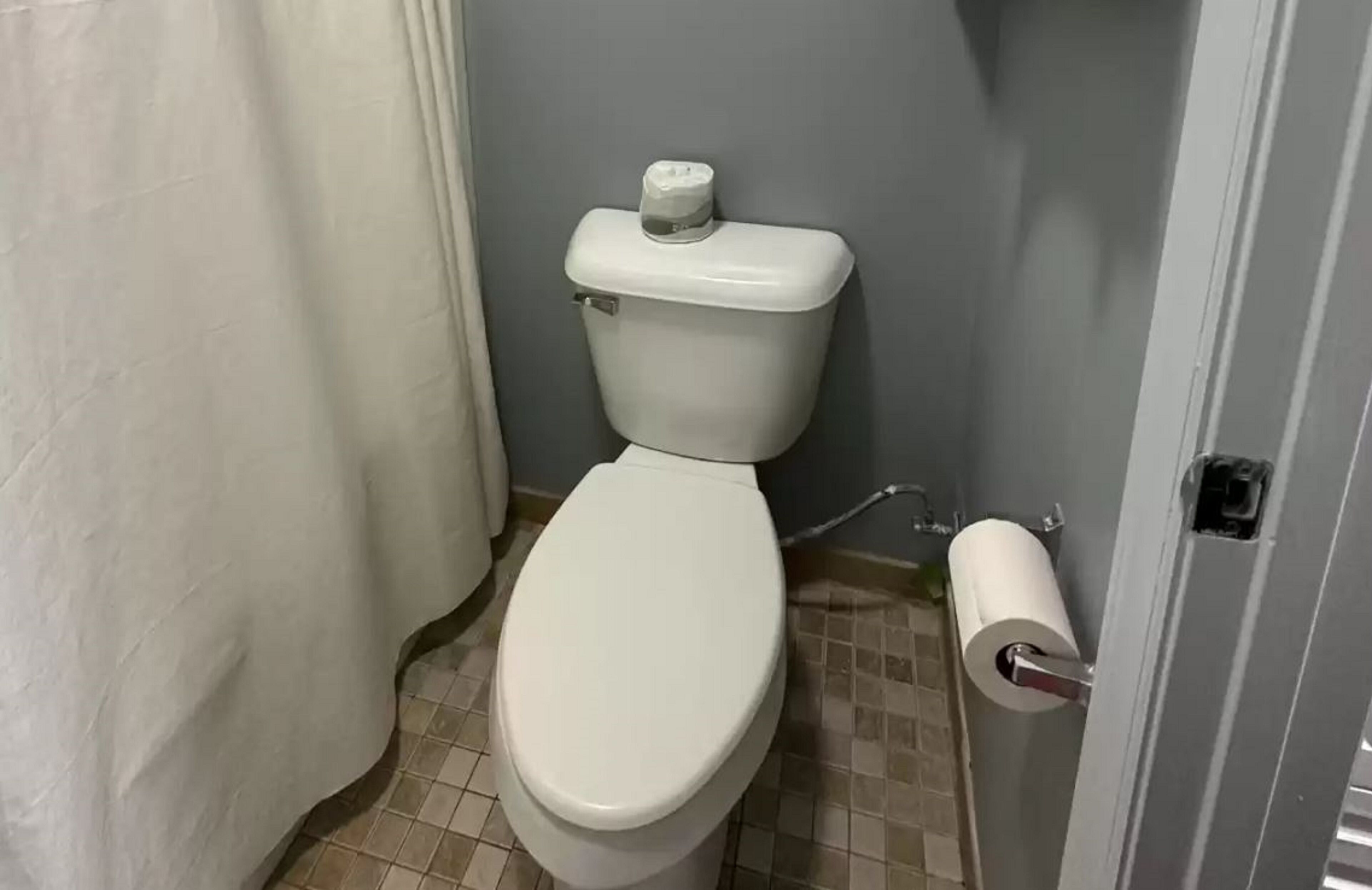 Une salle de bain avec des toilettes blanches, un porte-rouleau de papier toilette et un rideau de douche.