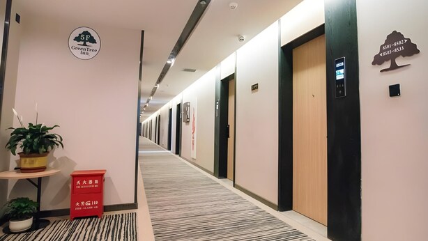Hotellin käytävällä on kyltti, jossa lukee ”5. kerros, GreenTree Inn”, ruukussa oleva kasvi, punainen laatikko ja hissi.