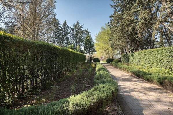 A paved pathway flanked by neatly trimmed hedges and trees, leading towards a building in the distance. - San Crispino Resort and Spa (Assisi)